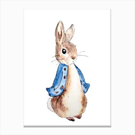 Rabbit, Peter, Animal, Decoration, Bedroom, Nursery, Cot, Kids, Nature, Art, Wall Print Canvas Print