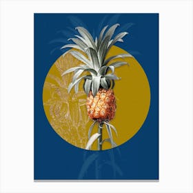 Vintage Botanical Pineapple on Circle Yellow on Blue n.0165 Canvas Print