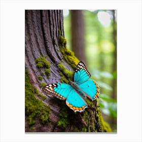Blue Butterfly On A Tree Canvas Print