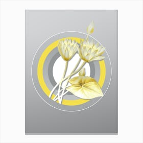 Botanical Egyptian Lotus in Yellow and Gray Gradient n.026 Canvas Print