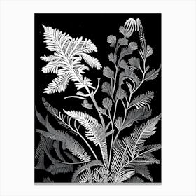 Ebony Spleenwort Wildflower Linocut 2 Canvas Print