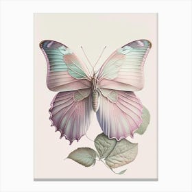 Gatekeeper Butterfly Vintage Pastel 1 Canvas Print
