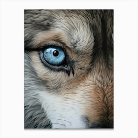 Himalayan Wolf Eye 3 Canvas Print