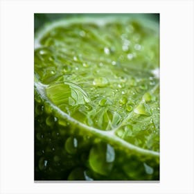Water Droplets On Lime 3 Canvas Print