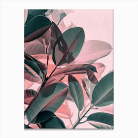 Abstract Pink Leaves Canvas Print