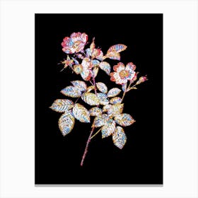 Stained Glass Short Styled Field Rose Mosaic Botanical Illustration on Black n.0007 Canvas Print