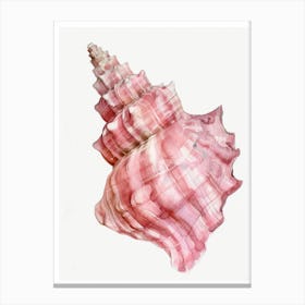 Pink Conch Shell 1 Canvas Print