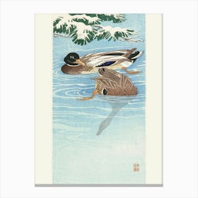 Couple Of Ducks In The Water (1925 1936), Ohara Koson Canvas Print