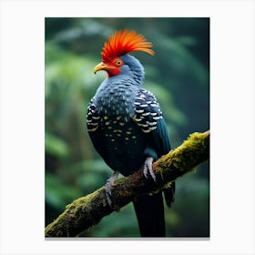 Rainforest Melody: Andean Jungle Bird Decor Canvas Print