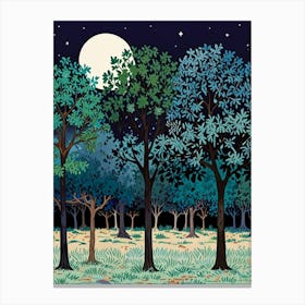 Night In The Forest 13 Canvas Print