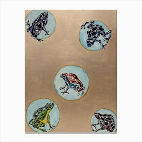 Flying frogs Canvas Print