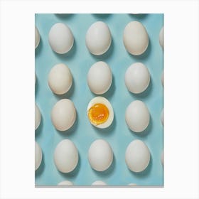 White Eggs Canvas Print