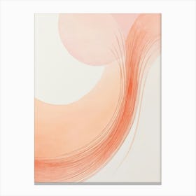 Dance Of Curves And Lines Canvas Print