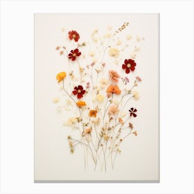 Pressed Flower Botanical Art Wildflowers 5 Canvas Print