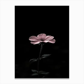 Single Pink Flower Canvas Print