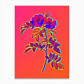 Neon Shining Rosa Lucida Botanical in Hot Pink and Electric Blue Canvas Print