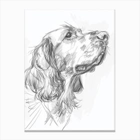 Irish Setter Dog Charcoal Line 3 Canvas Print