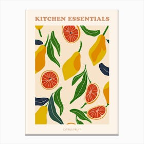 Citrus Fruit Abstract Illustration Poster 3 Canvas Print