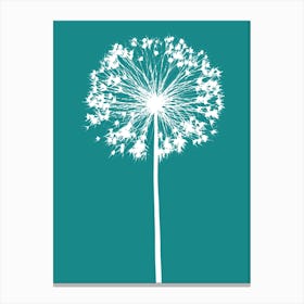 Teal white allium Canvas Print