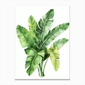 Banana Leaves 3 Canvas Print