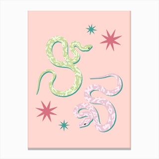 Pink Snakes And Stars Canvas Print