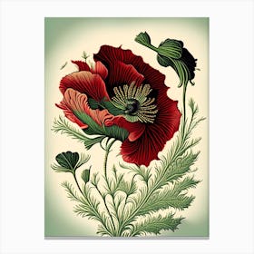 Poppy Herb Vintage Botanical Canvas Print
