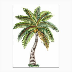 Palm Tree 39 Canvas Print