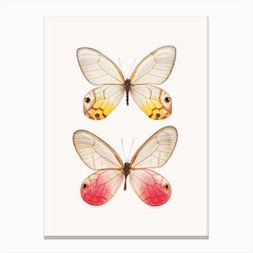 Butterflies IV Canvas Print