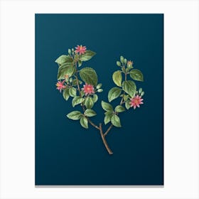 Vintage Crossberry Botanical Art on Teal Blue n.0270 Canvas Print