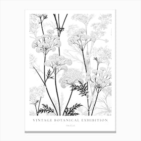 Daucus B&W Vintage Botanical Poster Canvas Print