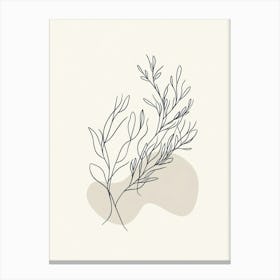 Eucalyptus 6 Canvas Print