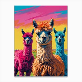 Llamas 3 Canvas Print