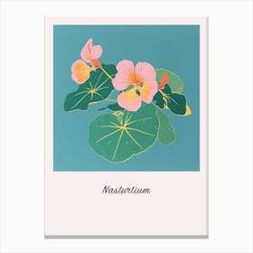 Nasturtium 2 Square Flower Illustration Poster Canvas Print