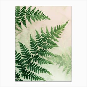 Pattern Poster Netted Chain Fern 1 Canvas Print