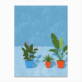 Potted Plants In A Room Canvas Print