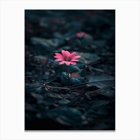 Dark Flower 30 Canvas Print