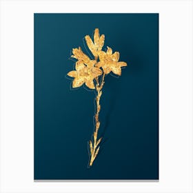 Vintage Madonna Lily Botanical in Gold on Teal Blue n.0195 Canvas Print