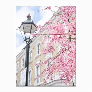 London Is Pretty In Pink Canvas Print