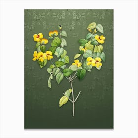 Vintage Platilobium Botanical on Lunar Green Pattern n.2456 Canvas Print