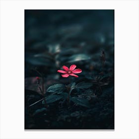 Flower In The Dark 64 Canvas Print