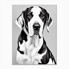 American English Coonhound B&W Pencil dog Canvas Print