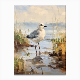 Bird Painting Grey Plover 2 Canvas Print