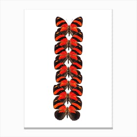 Row Of Red Butterflies Canvas Print
