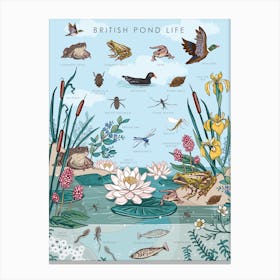 British Pond Life Canvas Print