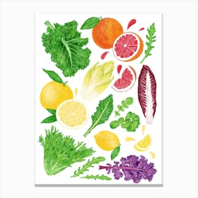 Bitter Foods Canvas Print