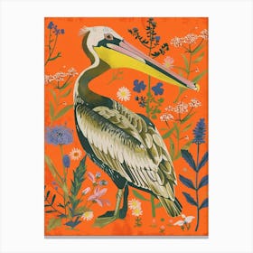 Spring Birds Brown Pelican 3 Canvas Print