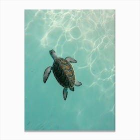 Sea Turtle Swimming 0 Canvas Print