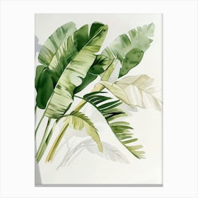 Tropical Leaves 20 Canvas Print
