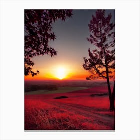 Sunset Over A Field 15 Canvas Print