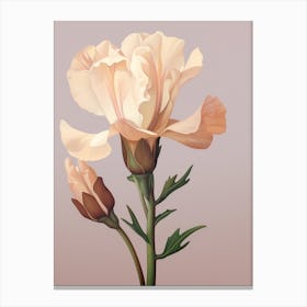 Floral Illustration Freesia 2 Canvas Print